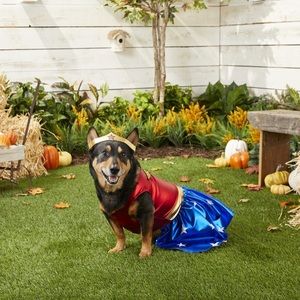 NWT Wonder Woman Dog Costume - Large